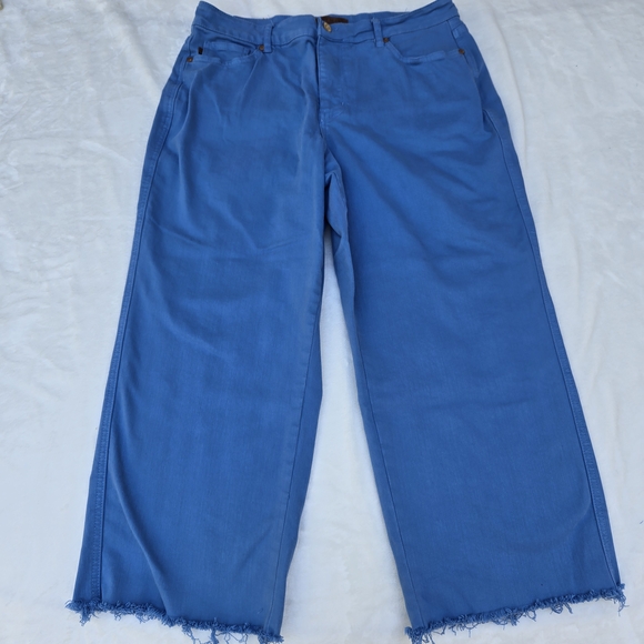 Judy Blue 16W Raw Hem Sky Blue High Rise Crop JB88843 C Wide leg Garment Dyed - Picture 1 of 16